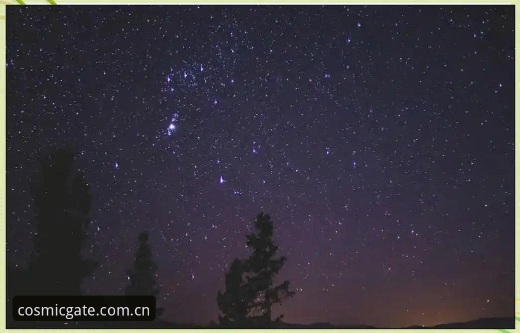星空入口使用教程：星空平台官网CN入口与手机版操作实用指南